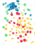 The Ladybug's Picnic by Nicole